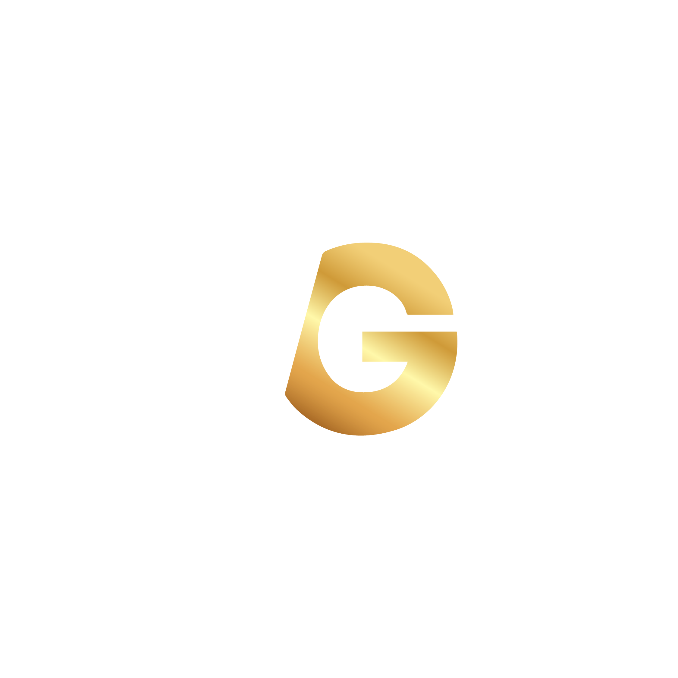 Nestor Garcia Logo